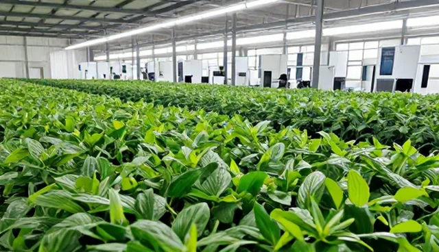 账号代运营中用户互动提升的实践路径与趋势分析