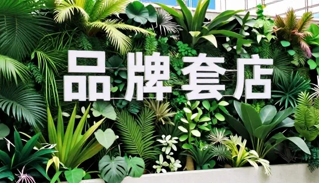 宣传片制作中画面节奏把控技巧与建议